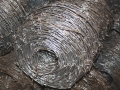 Barbed wire 1